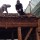 【解体動画 富山】木造住宅の二階部分手壊し解体工事（富山市）